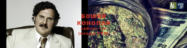 дмт Лиски