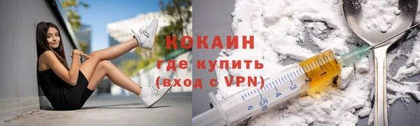 дмт Лиски