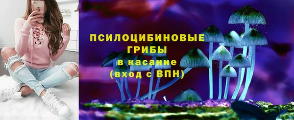 дмт Лиски