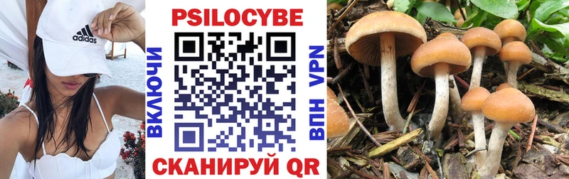 Галлюциногенные грибы Magic Shrooms  Купить  Анапа 